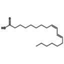 Konjugovaná linolová kyselina (CLA)